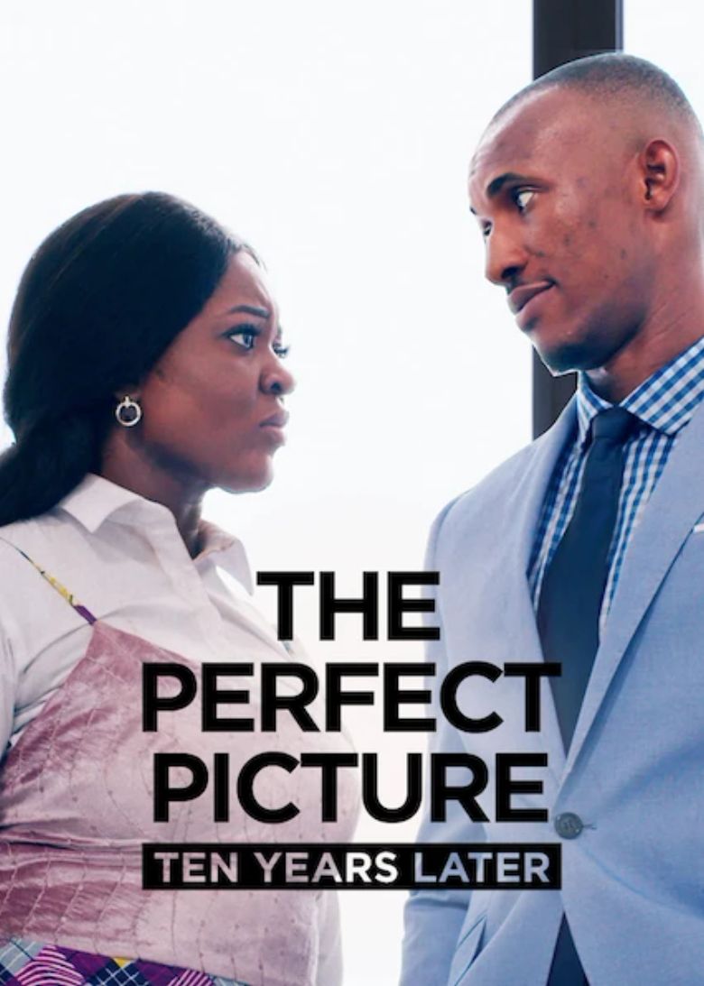 The Perfect Picture: Ten Years Later poster