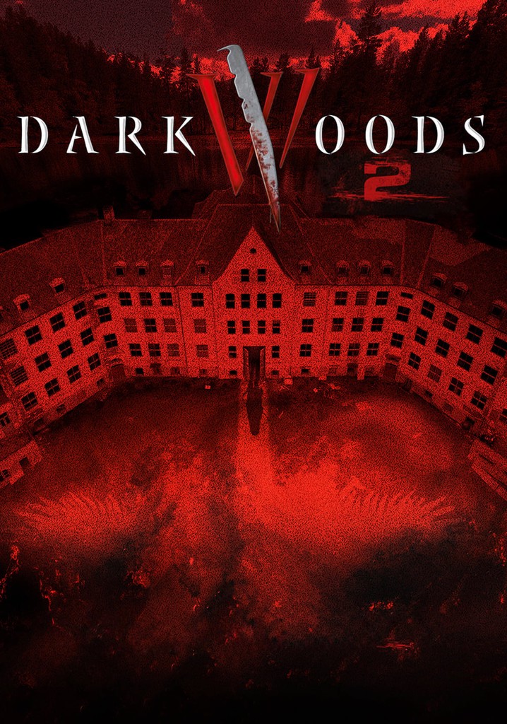 Dark Woods II poster