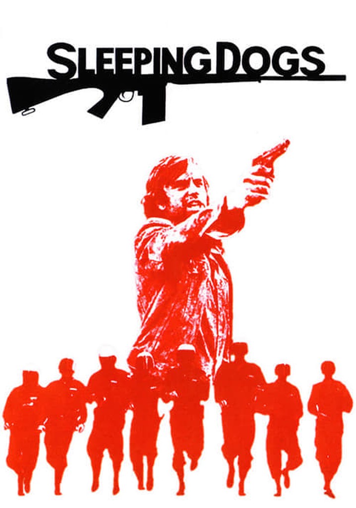 Sleeping Dogs poster
