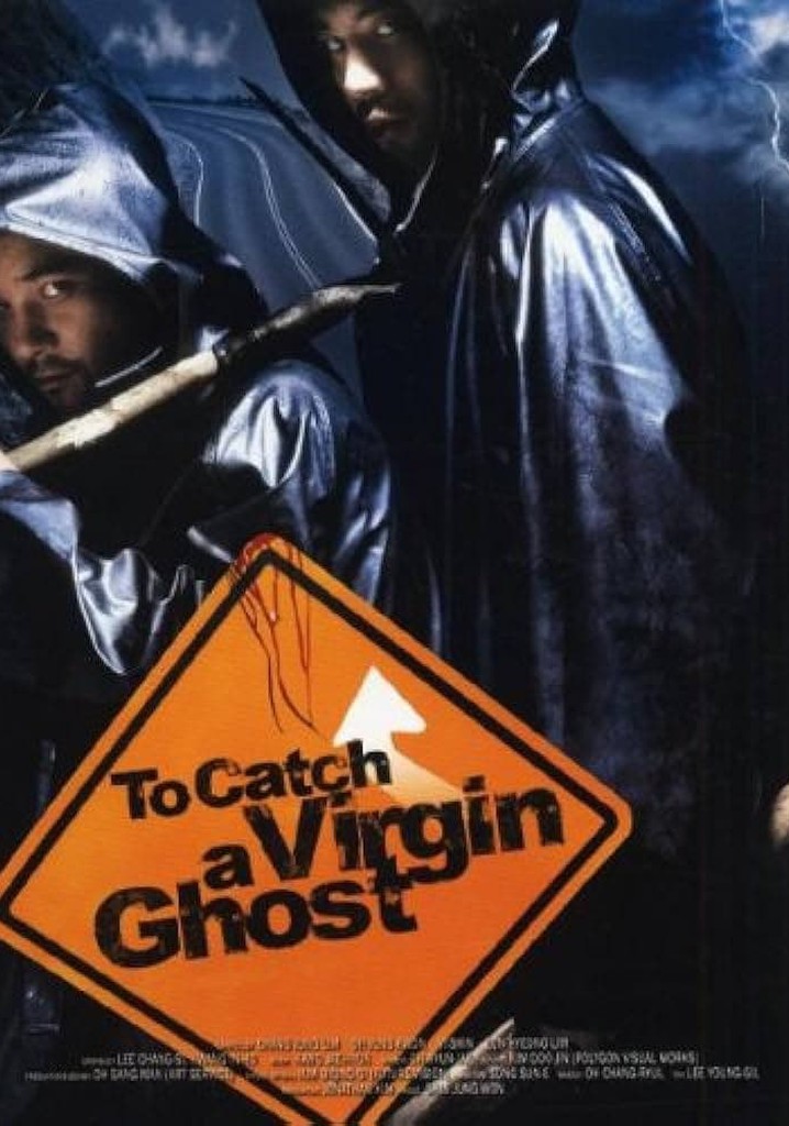 To Catch a Virgin Ghost poster