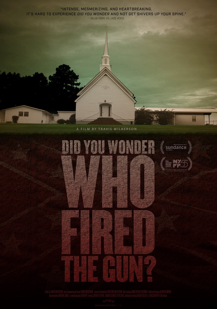 Did You Wonder Who Fired the Gun? poster