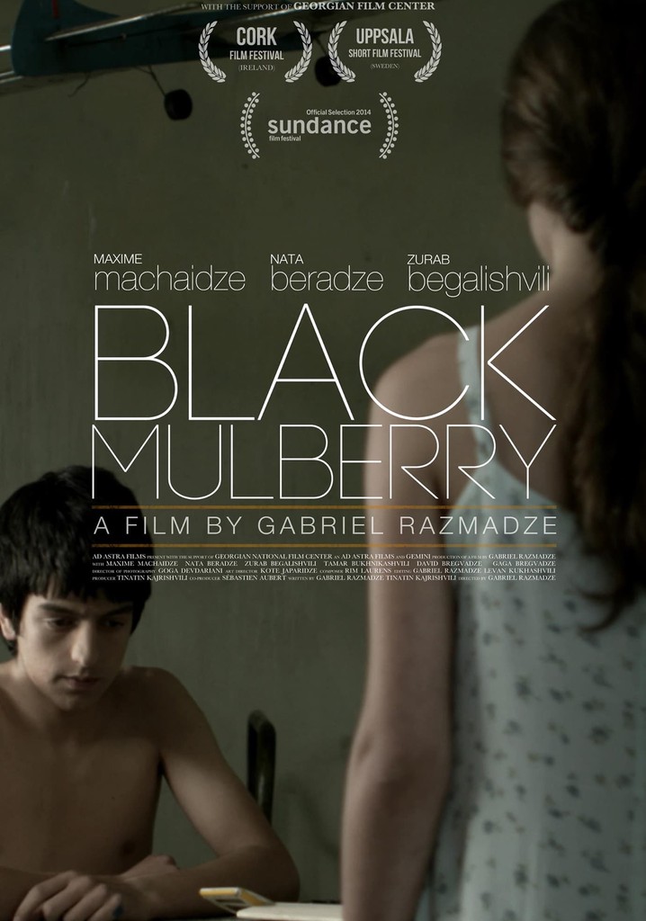 Black Mulberry poster