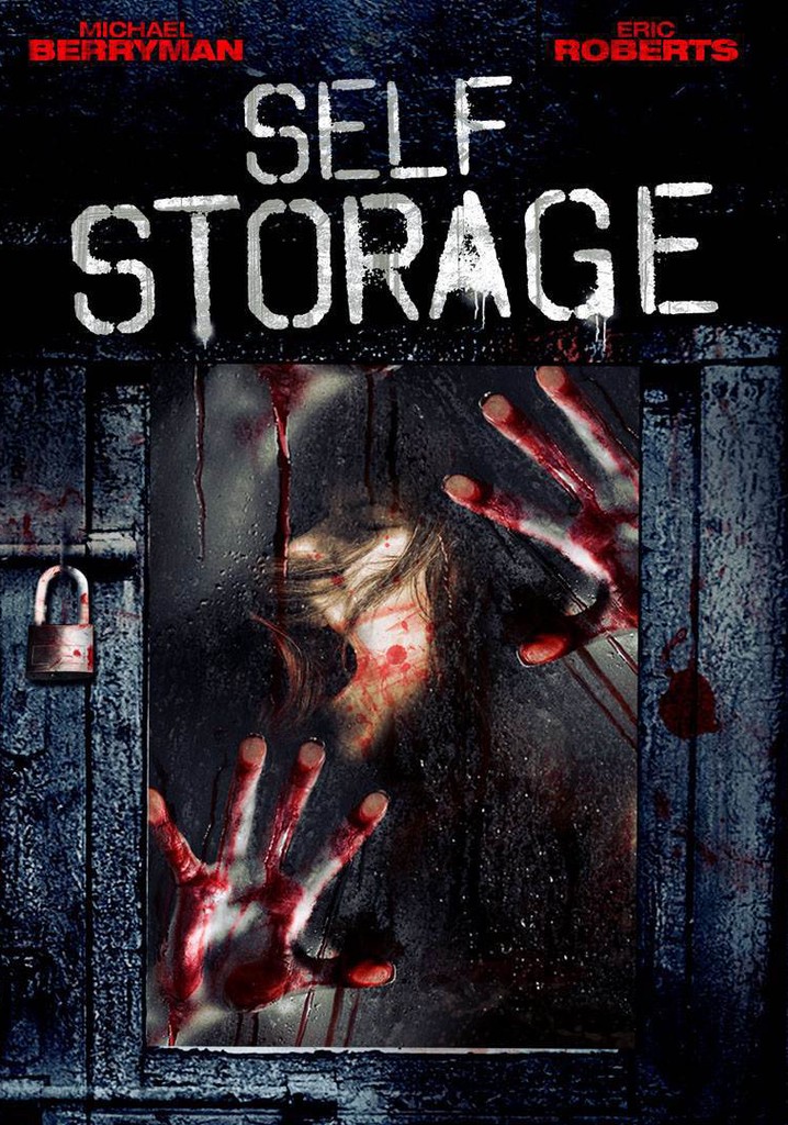 Self Storage poster