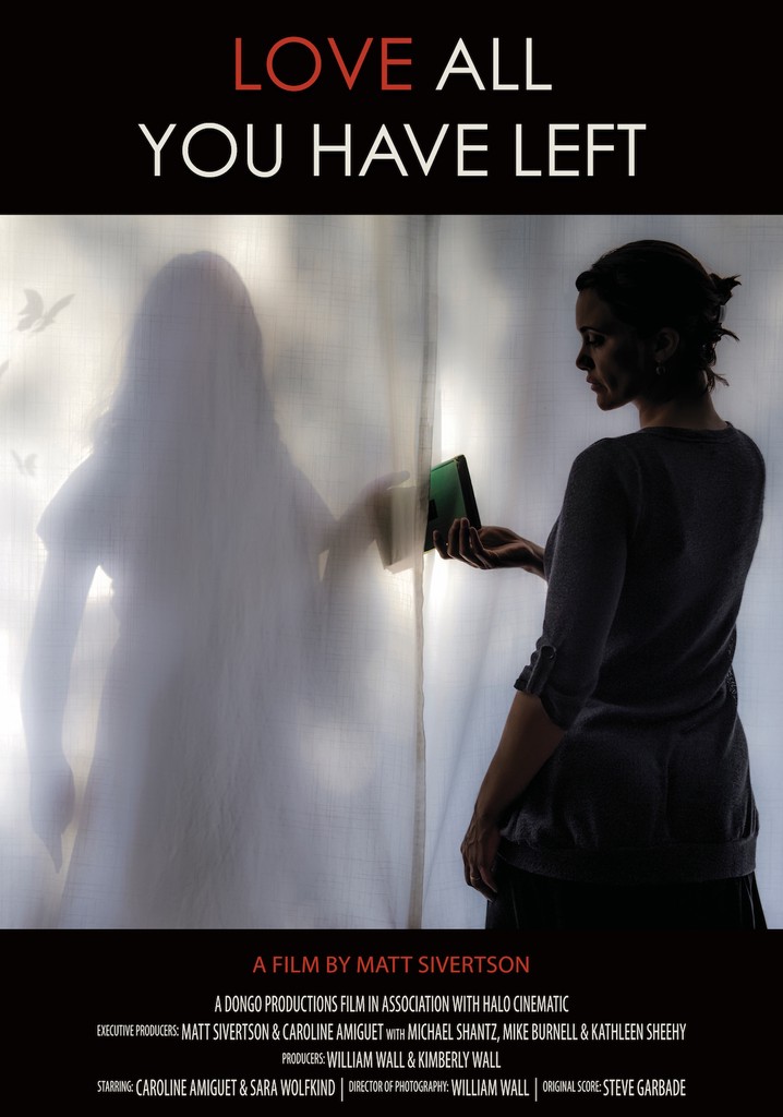 Love All You Have Left poster