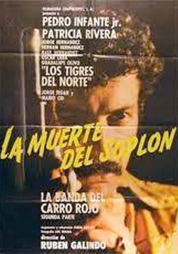 La muerte del soplón poster