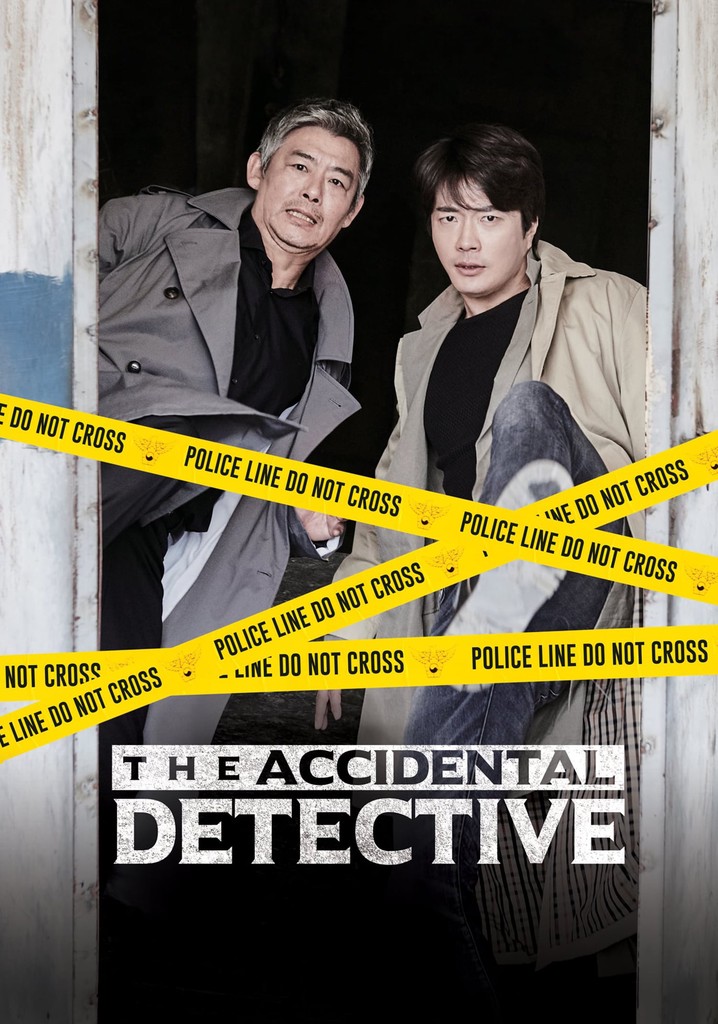 The Accidental Detective poster
