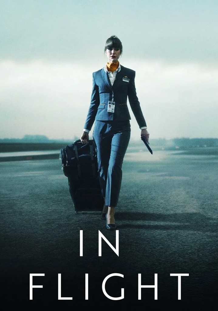 In Flight poster