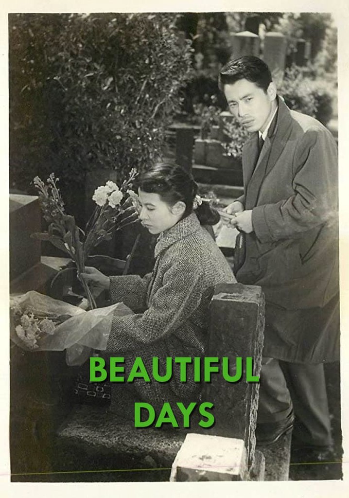 Beautiful Days poster