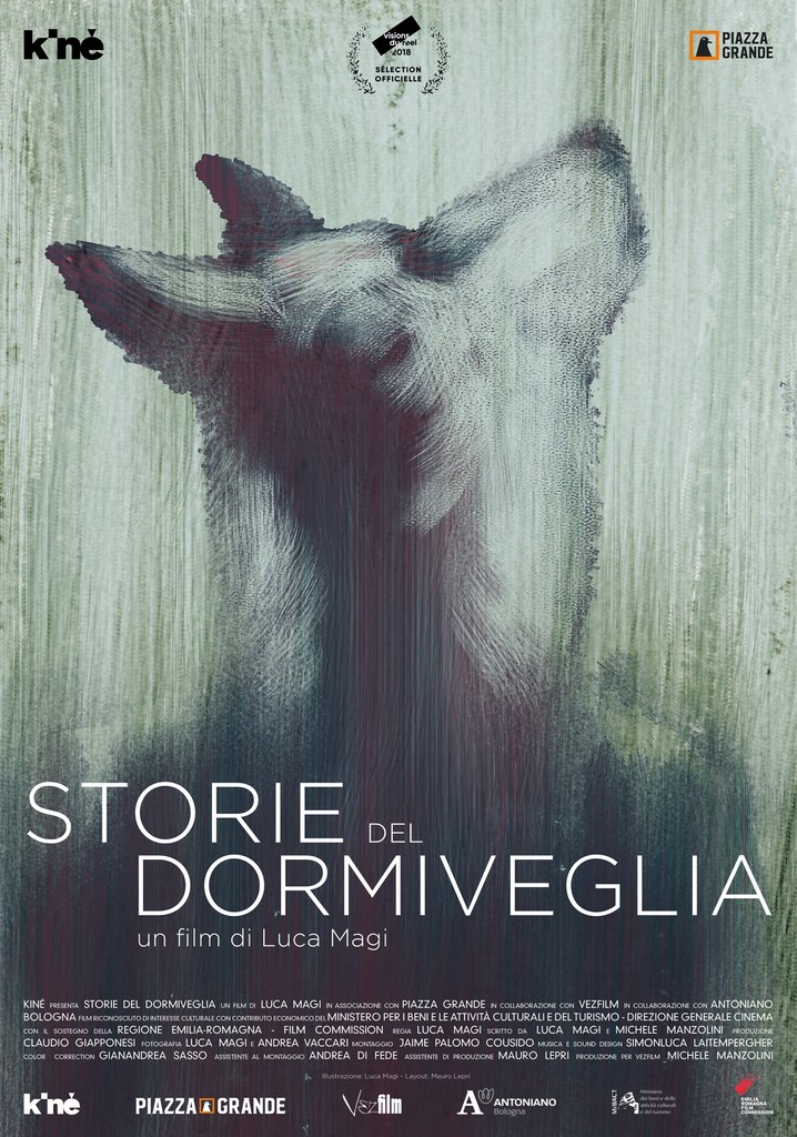 Storie del dormiveglia poster