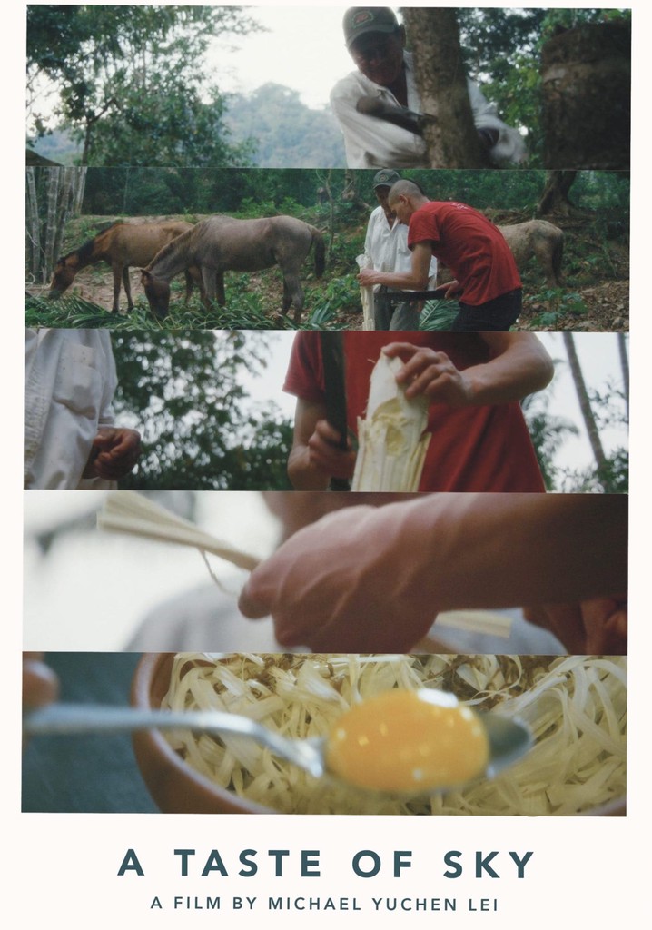 A Taste of Sky poster