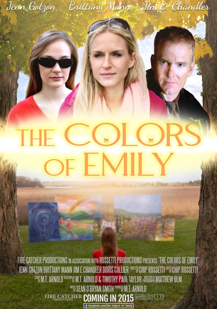 The Colors of Emily poster