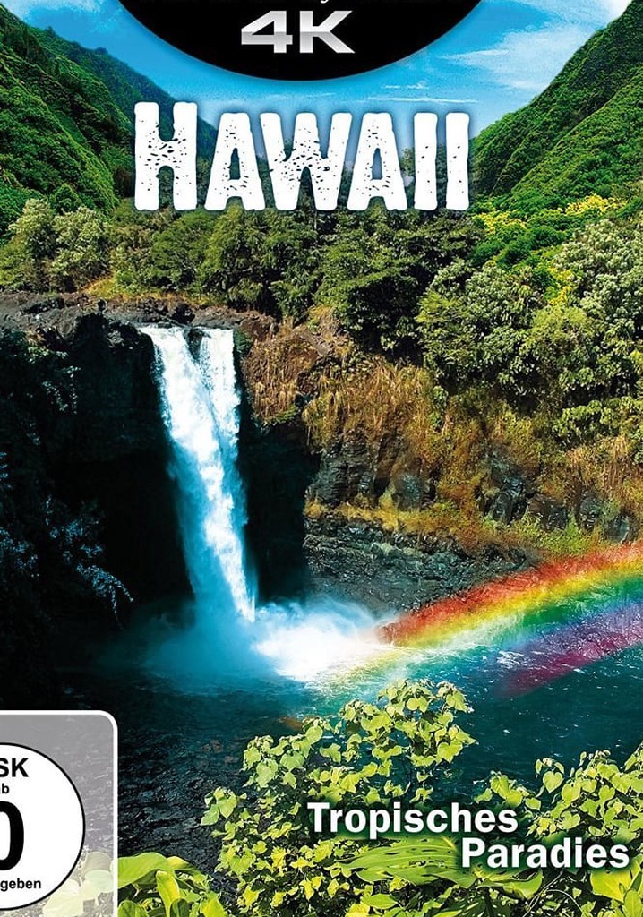 Hawaii poster