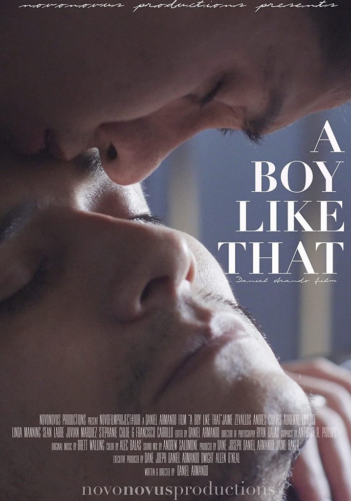 A Boy Like That poster