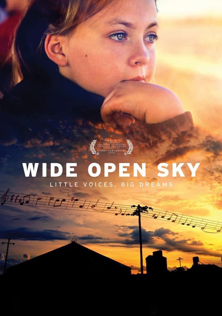 Wide Open Sky poster