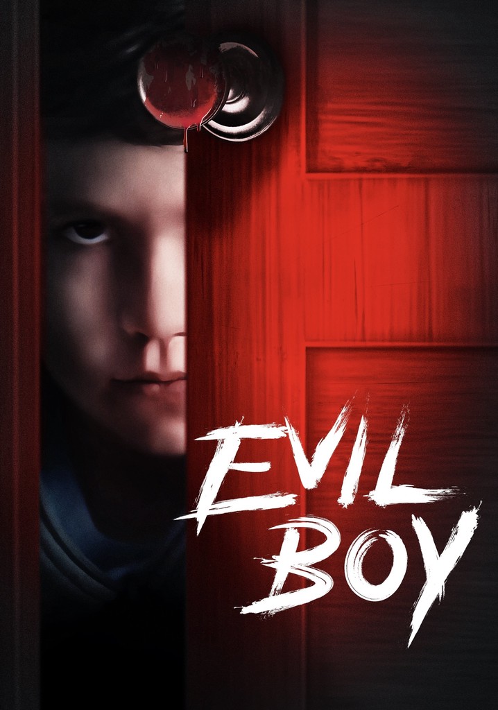 Stray poster