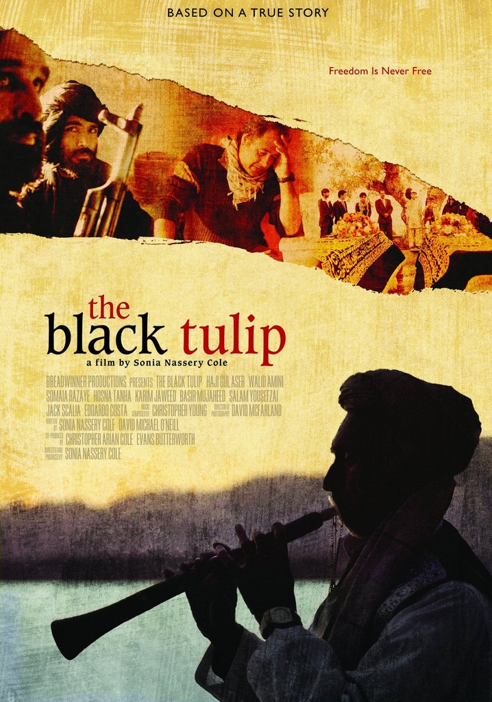 The Black Tulip poster