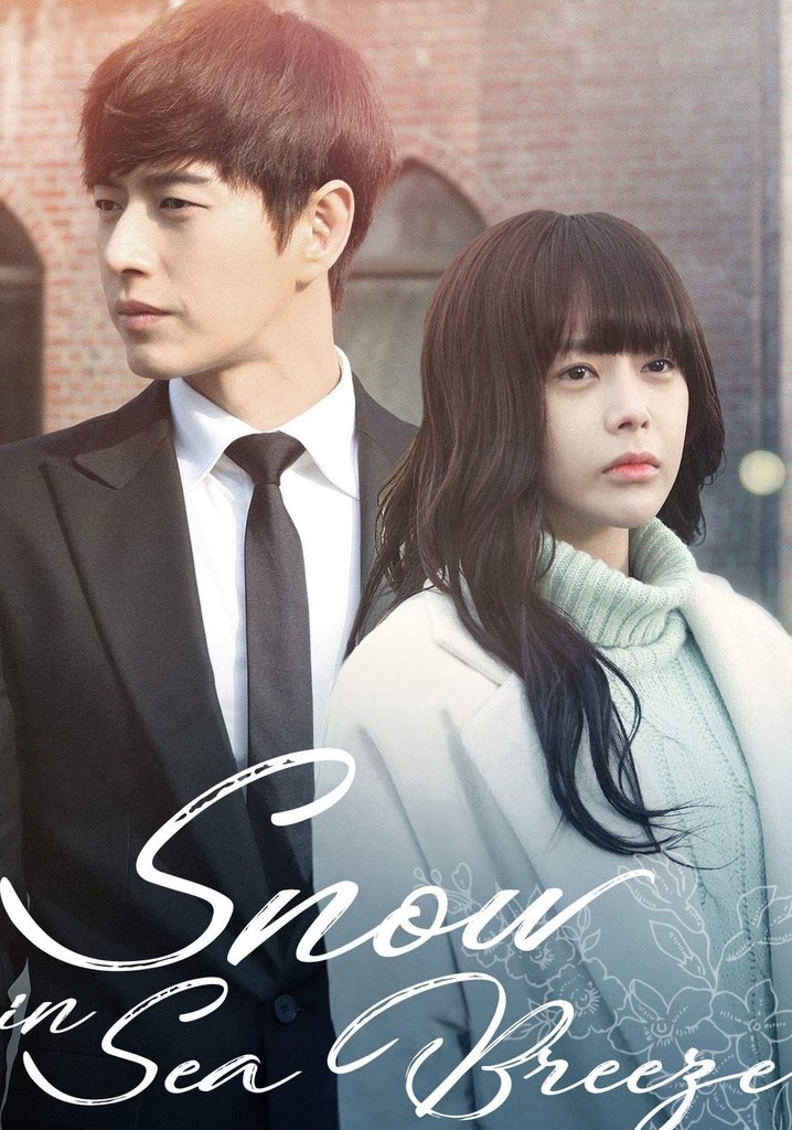 Snow In Sea Breeze poster
