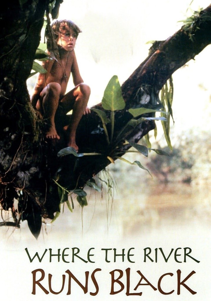 Where the River Runs Black poster