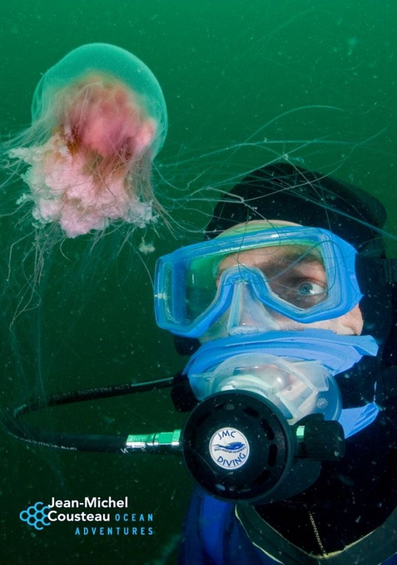 Jean-Michel Cousteau's Ocean Adventures poster