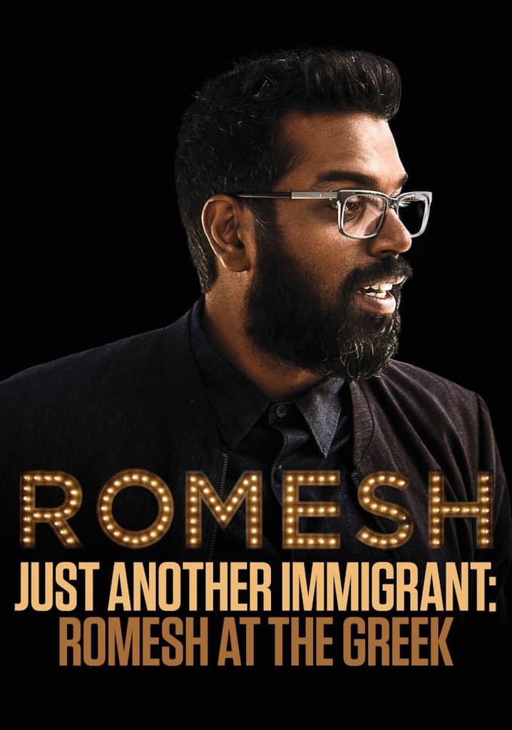Just Another Immigrant poster