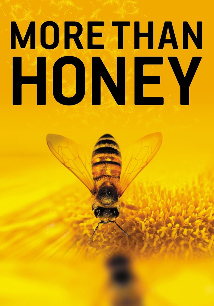 More Than Honey poster