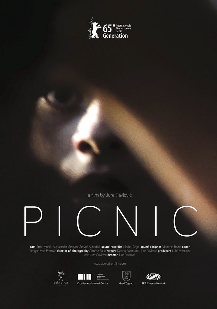 Picnic poster