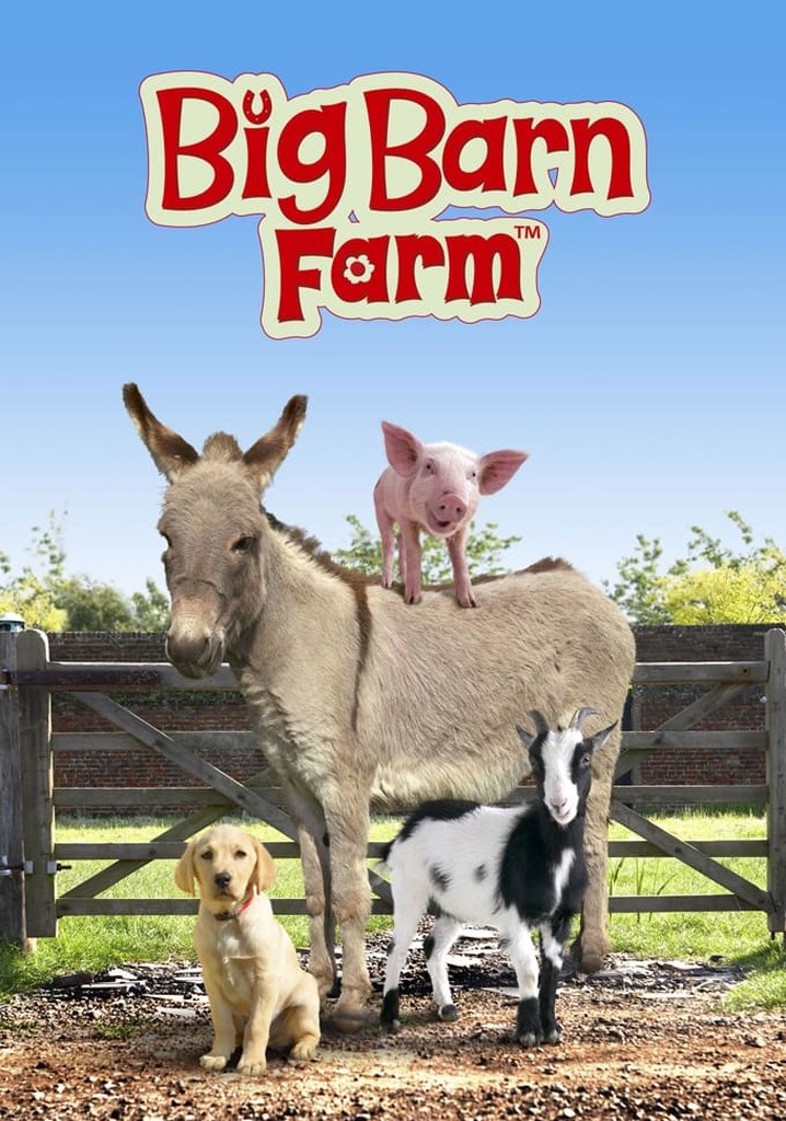 Big Barn Farm poster