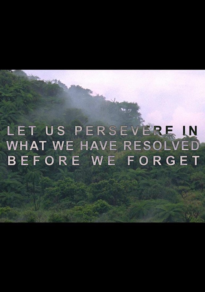Let Us Persevere in What We Have Resolved Before We Forget poster