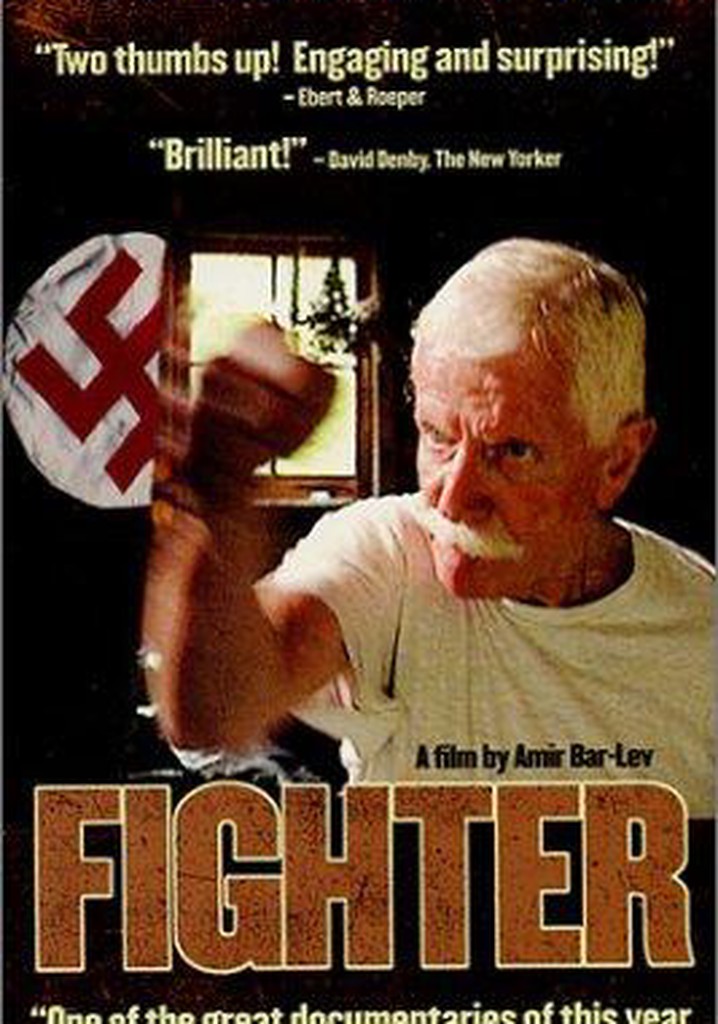 Fighter poster