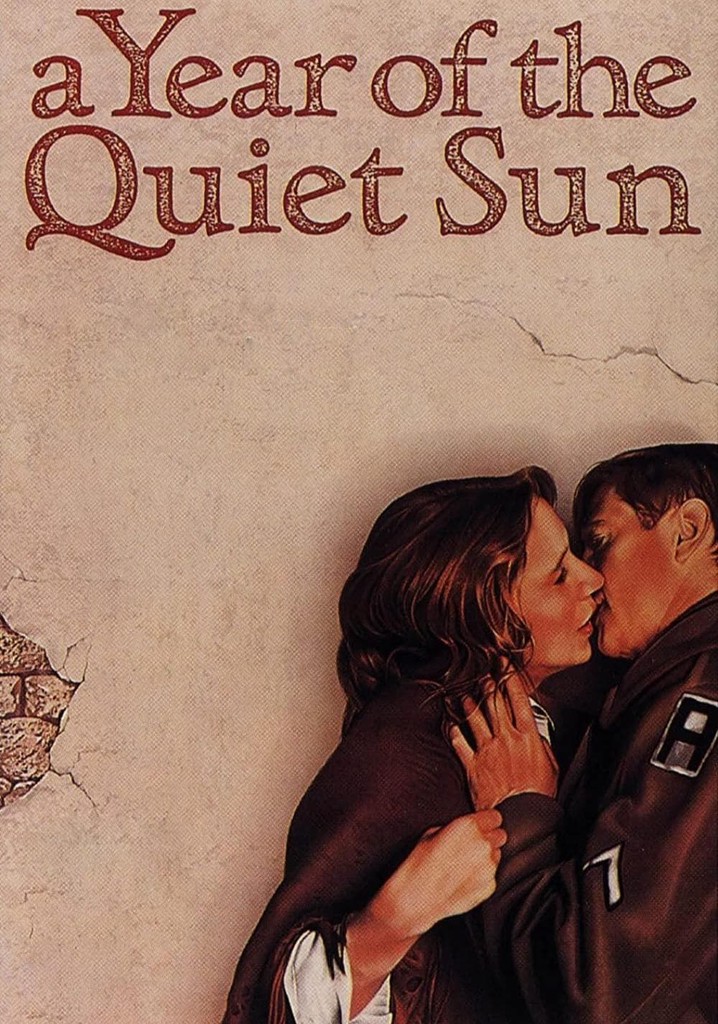 A Year of the Quiet Sun poster
