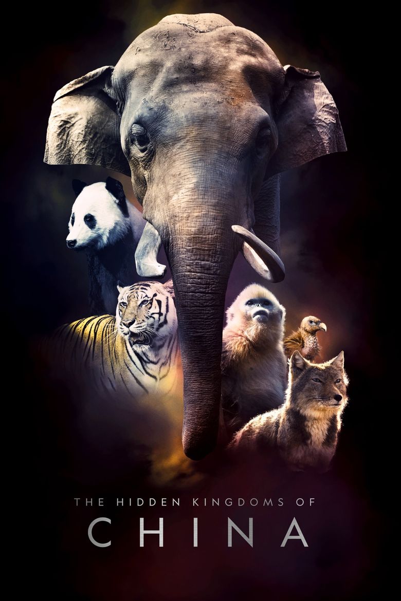 The Hidden Kingdoms of China poster