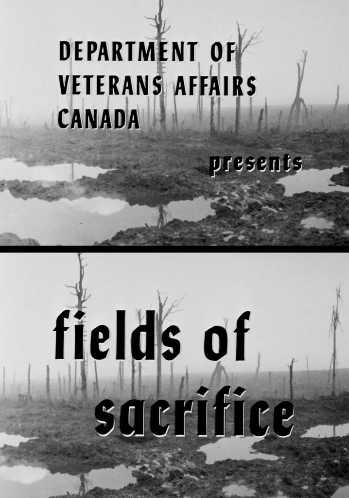 Fields of Sacrifice poster