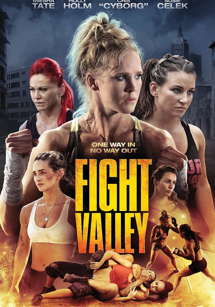 Fight Valley poster