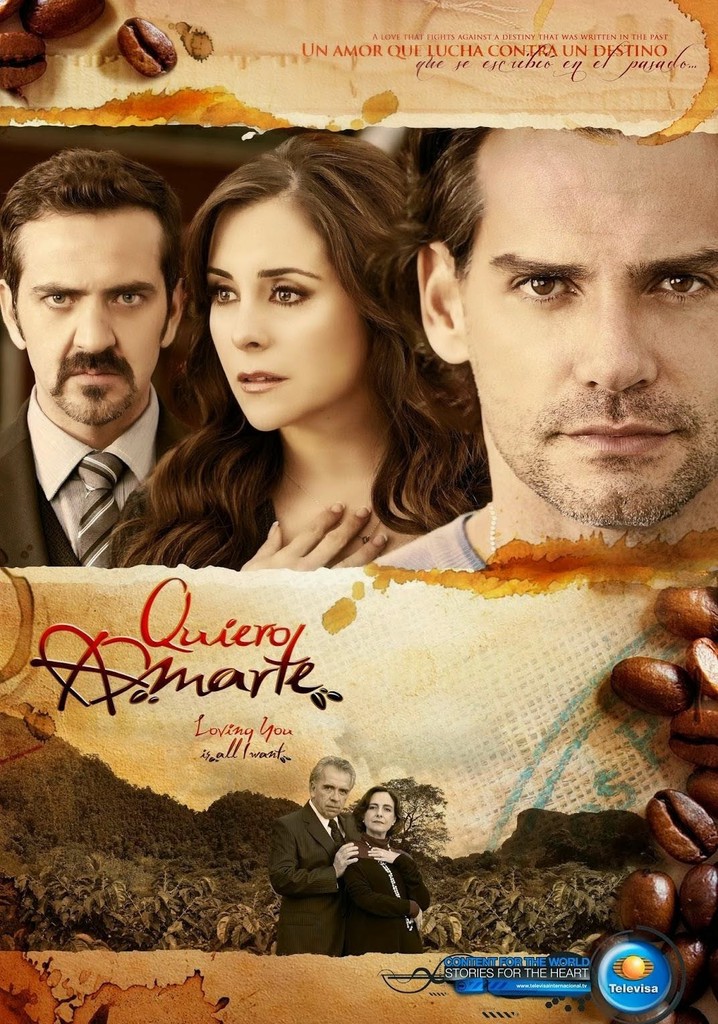 Quiero amarte poster