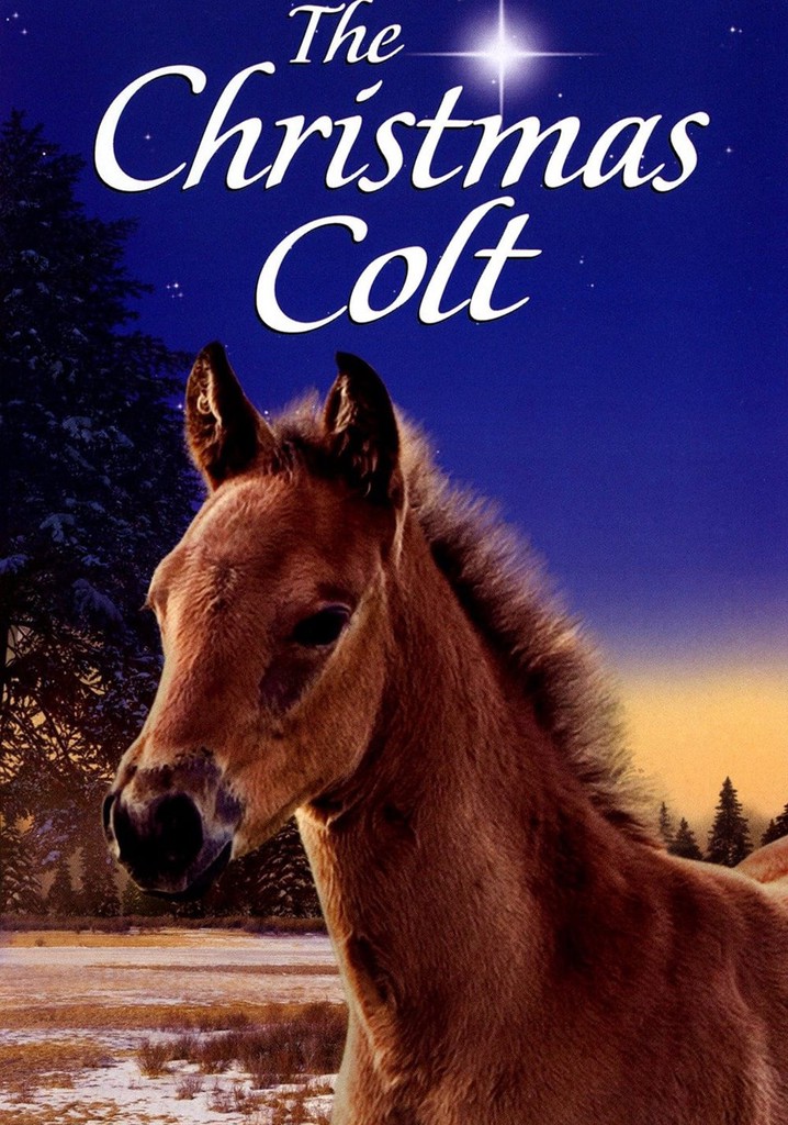 The Christmas Colt poster