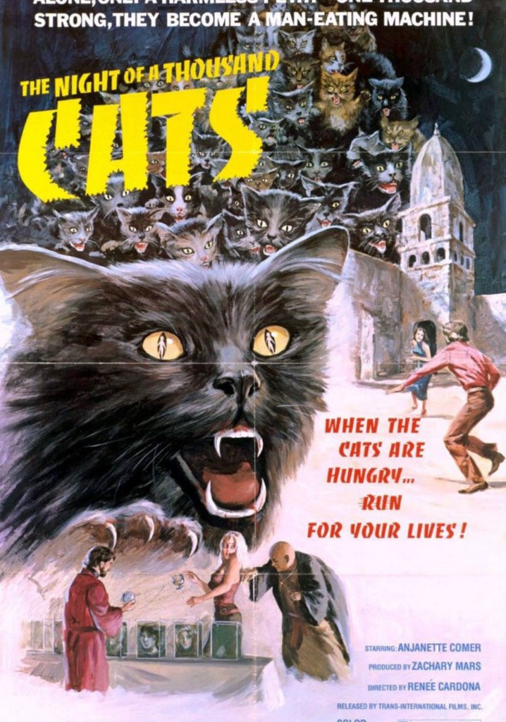 The Night of a Thousand Cats poster