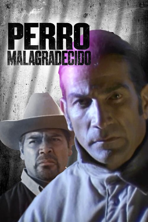 Río de pasiones poster