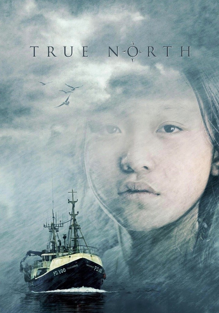 True North poster