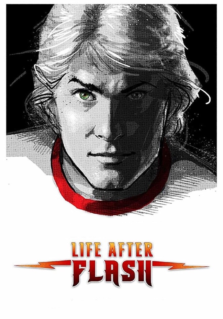 Life After Flash poster