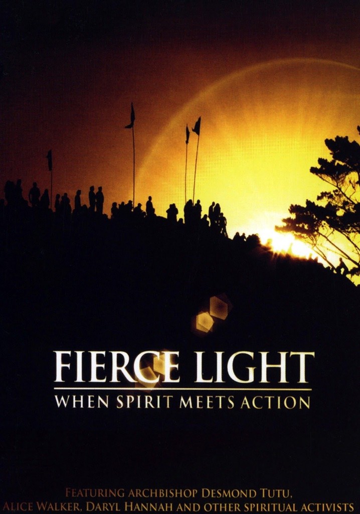 Fierce Light: When Spirit Meets Action poster