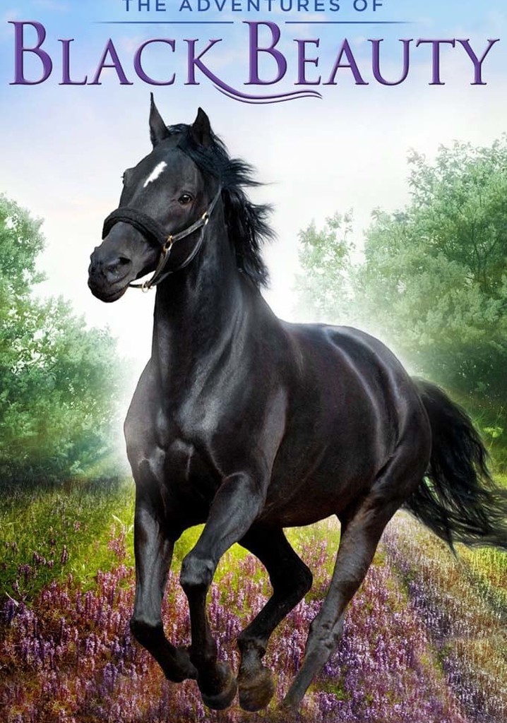 The Adventures of Black Beauty poster