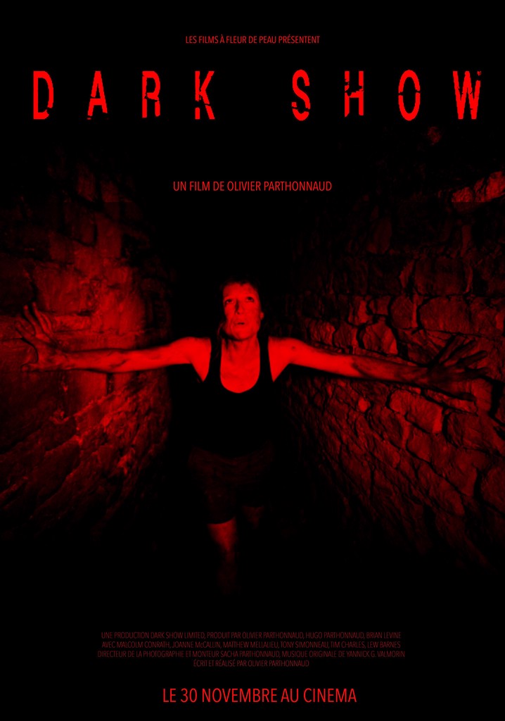 Dark Show poster