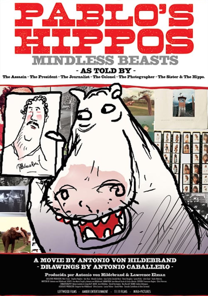 Pablo's Hippos poster