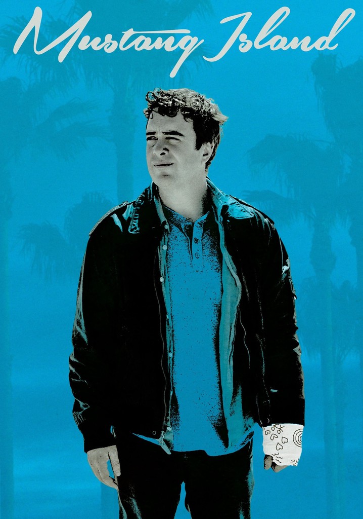 Mustang Island poster