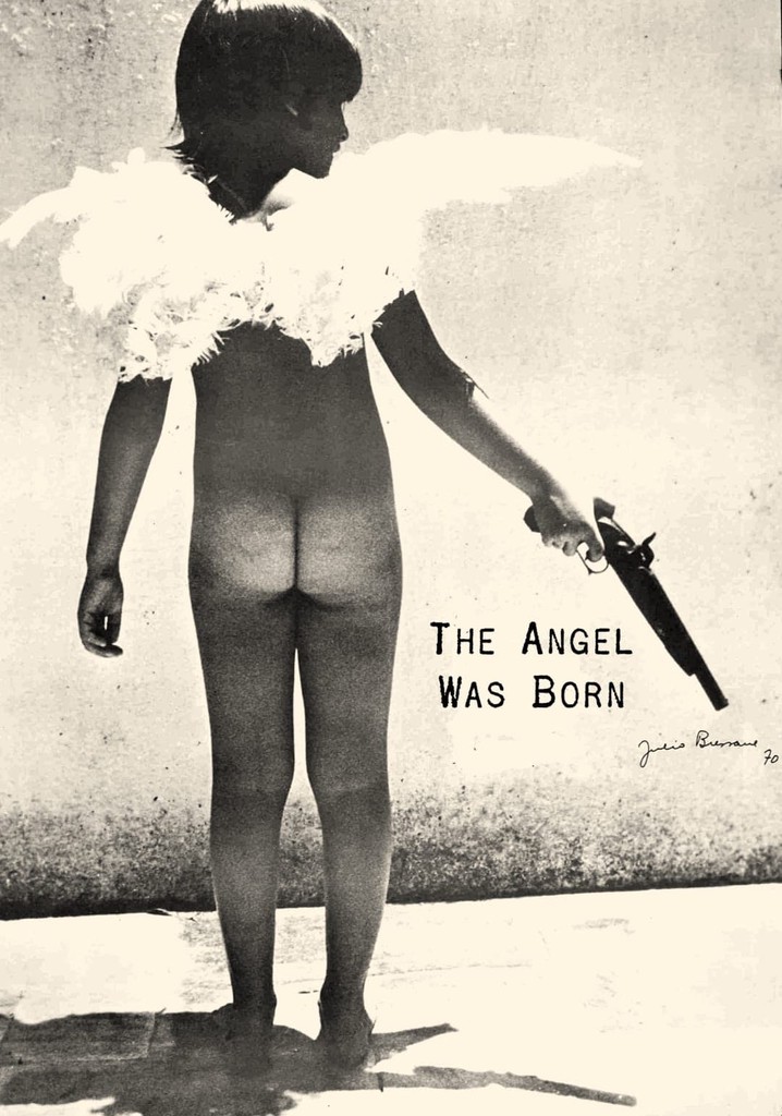 The Angel Was Born poster