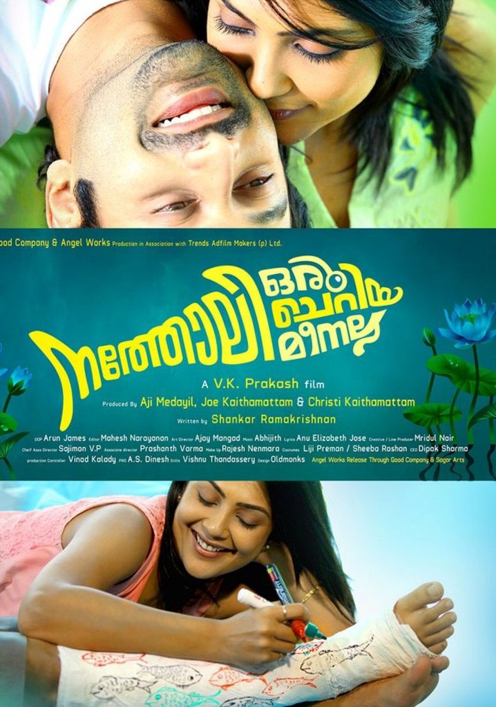 Natholi Oru Cheriya Meenalla poster