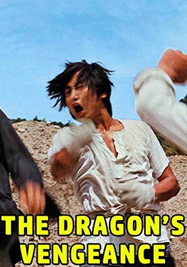The Dragon's Vengeance poster