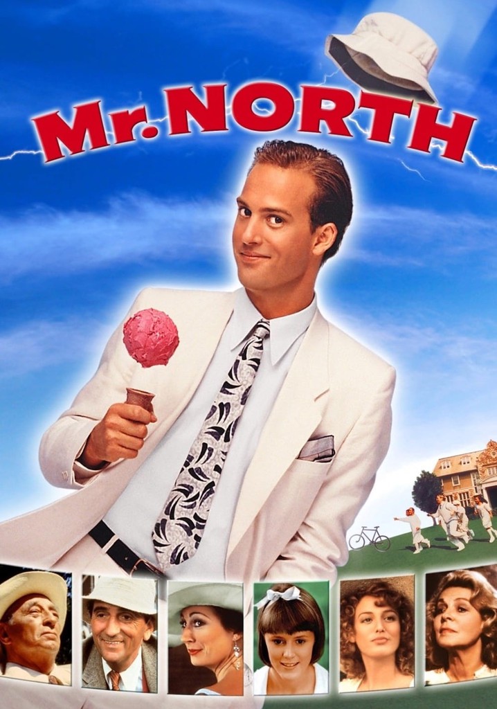 Mr. North poster