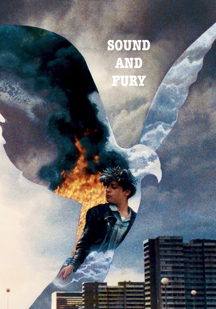 Sound and Fury poster