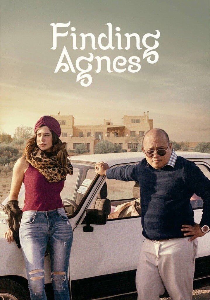 Finding Agnes poster